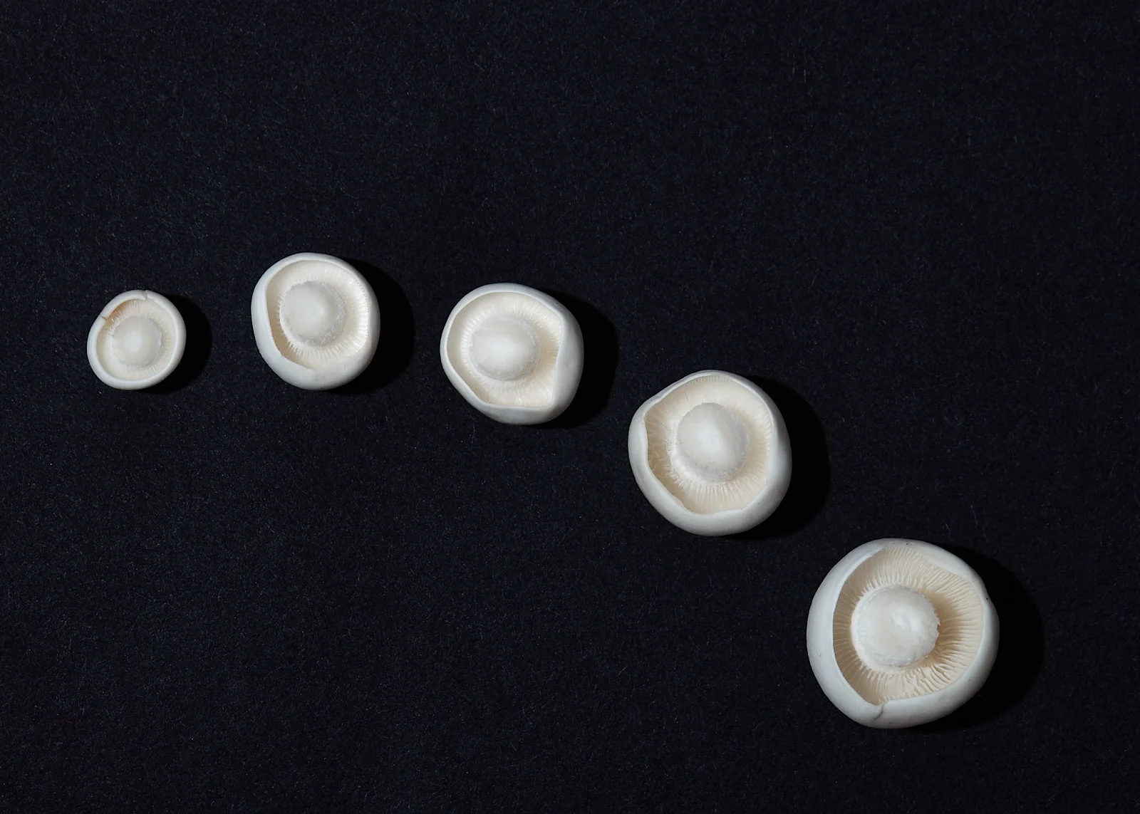 Product photography by Paulo Toureiro