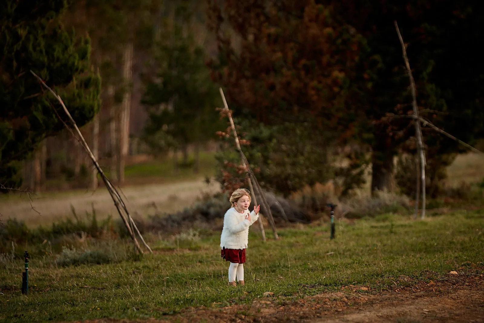 Carla & David - Weddings photography by Paulo Toureiro