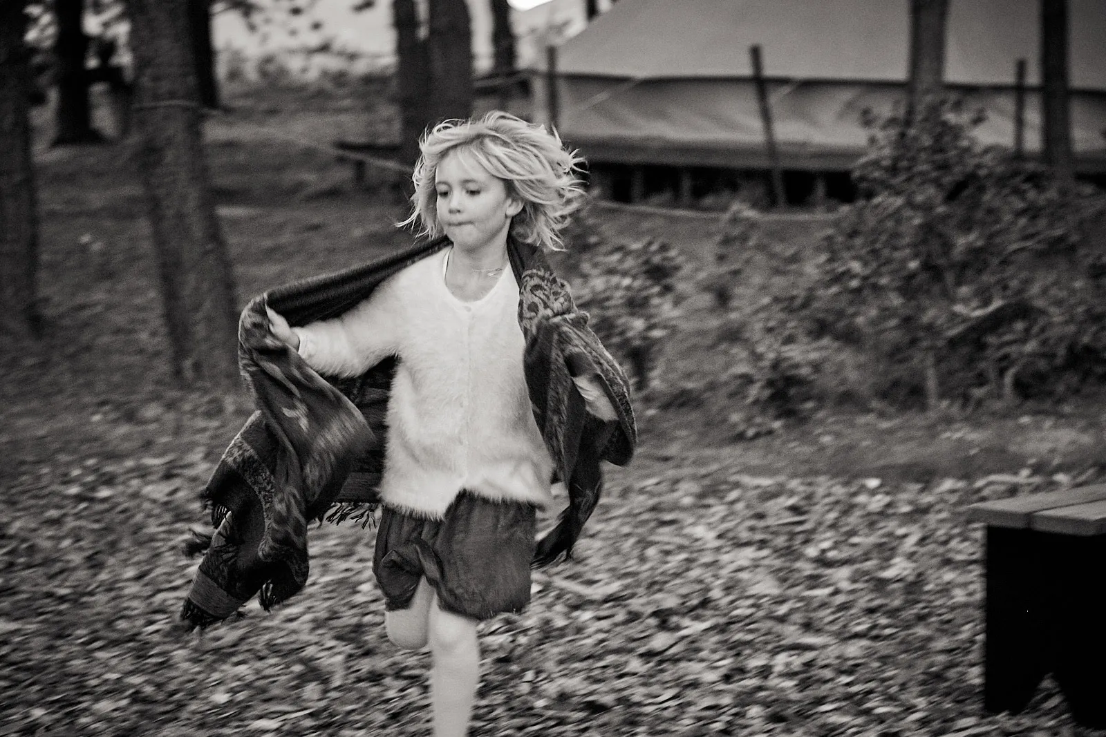 Carla & David - Weddings photography by Paulo Toureiro