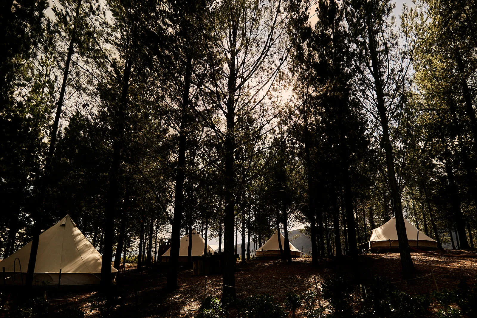 Carla & David - Weddings photography by Paulo Toureiro