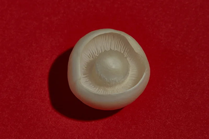 Portfolio highlight 20