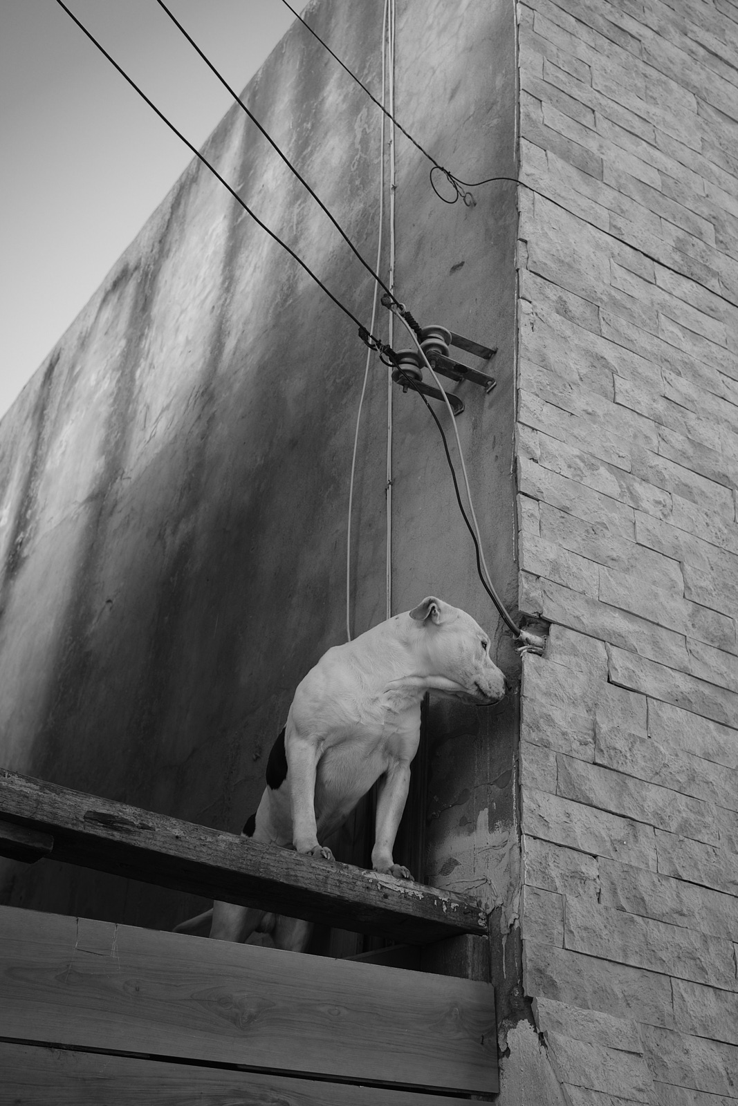 Personal project photography