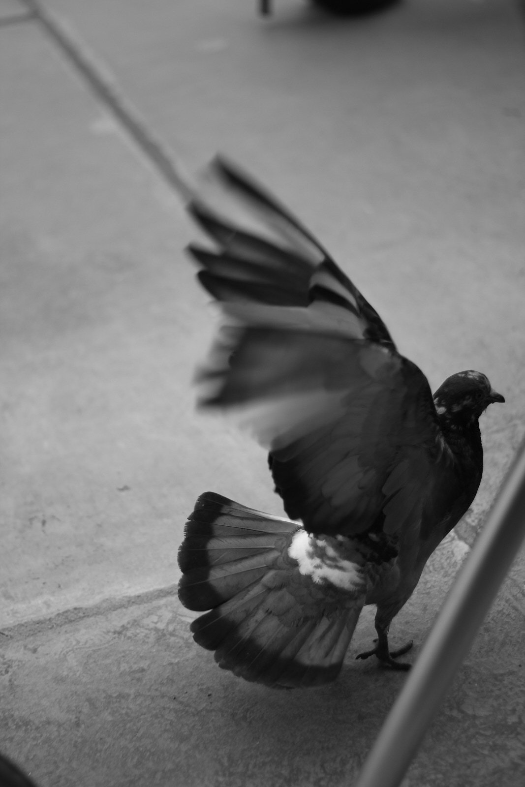 Personal project photography