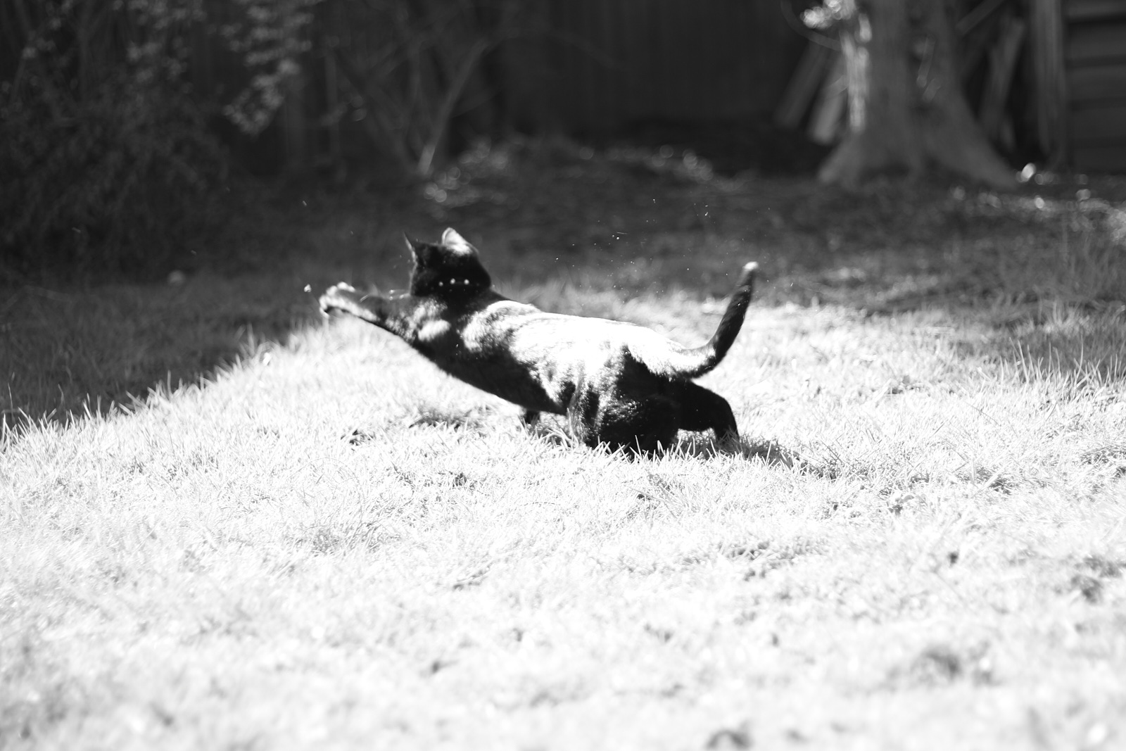 Personal project photography