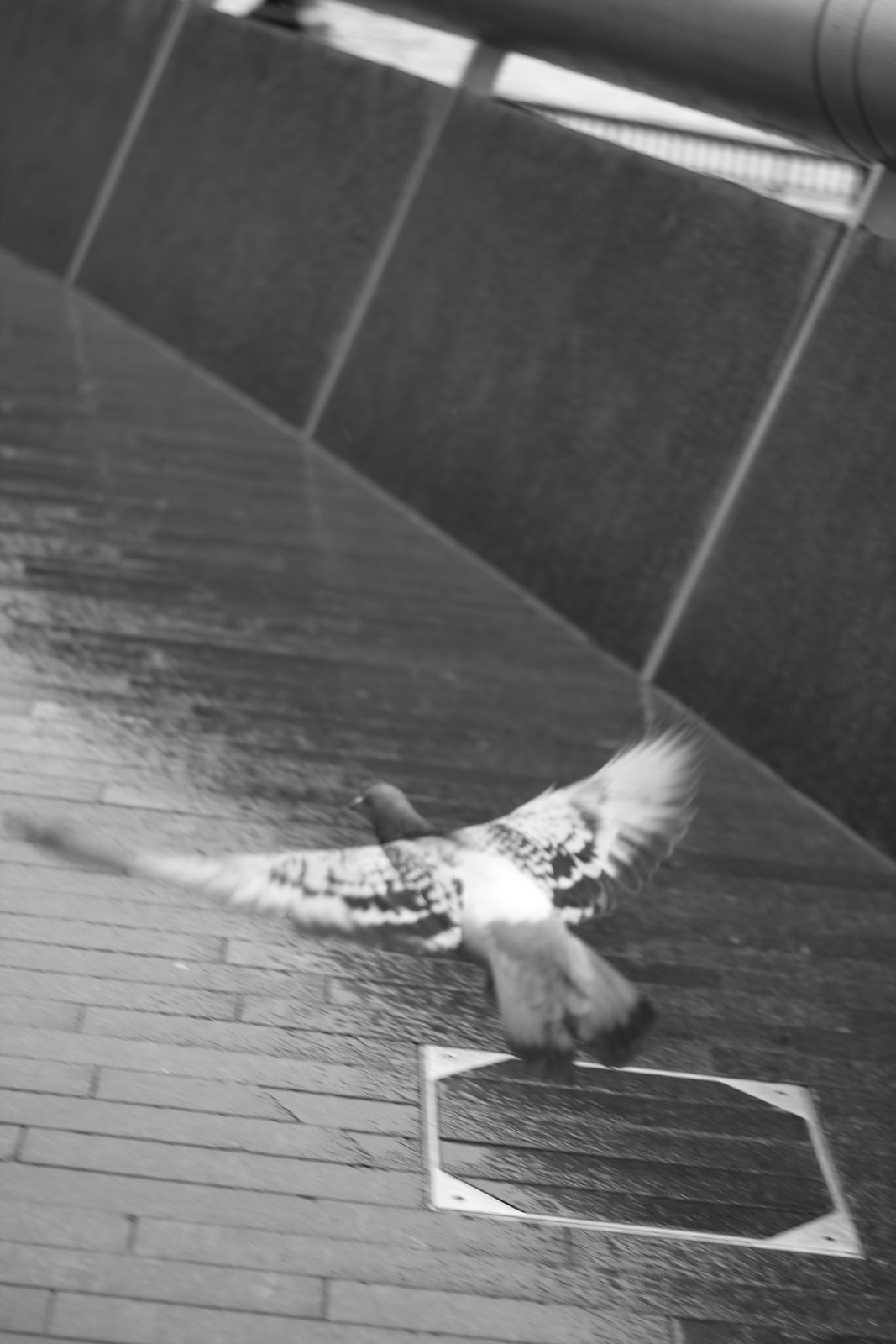 Personal project photography